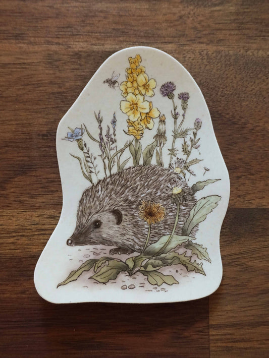 Hedgehog Die Cut Sticker