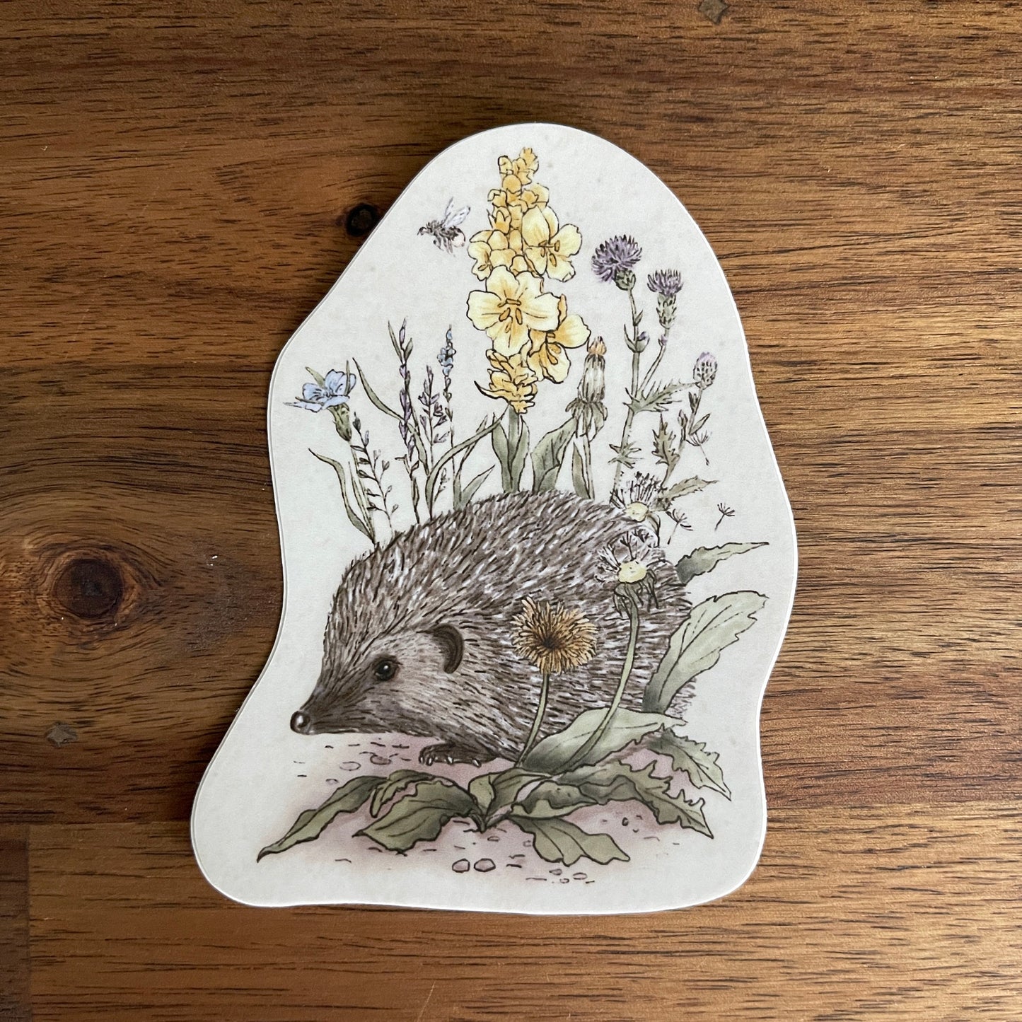 Hedgehog Die Cut Sticker
