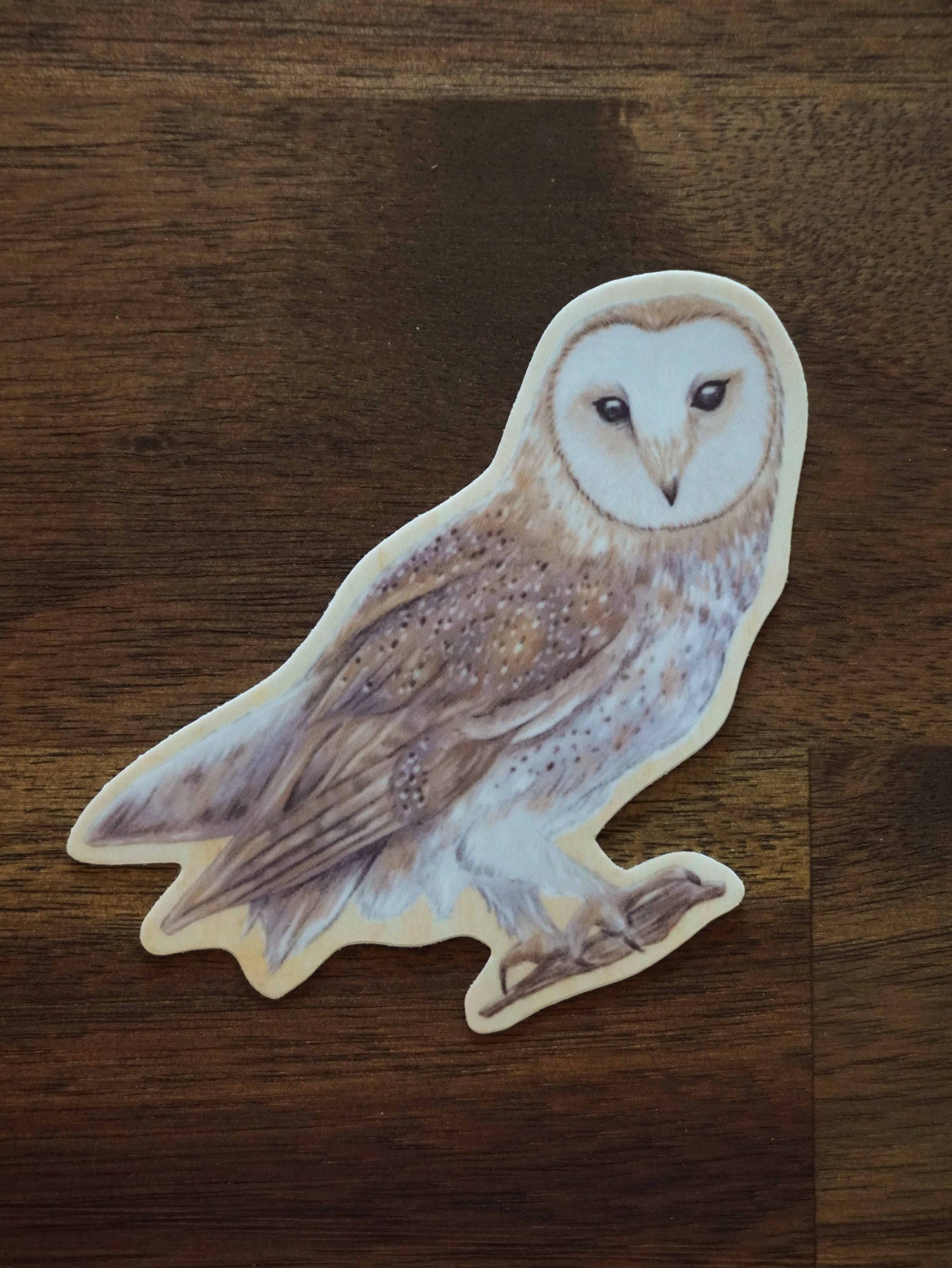 Owl Vinyl Sticker