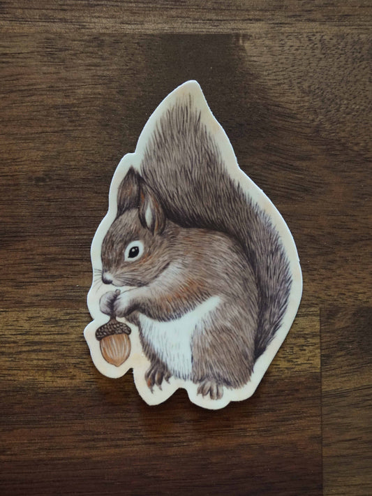 Squirrel Vinyl Sticker