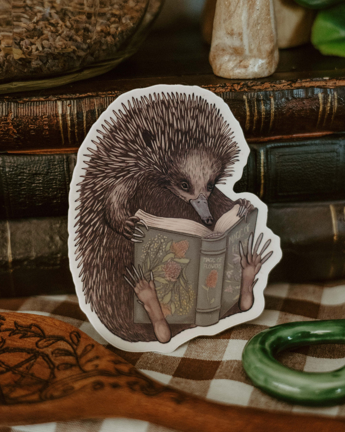 Reading Echidna Vinyl Sticker
