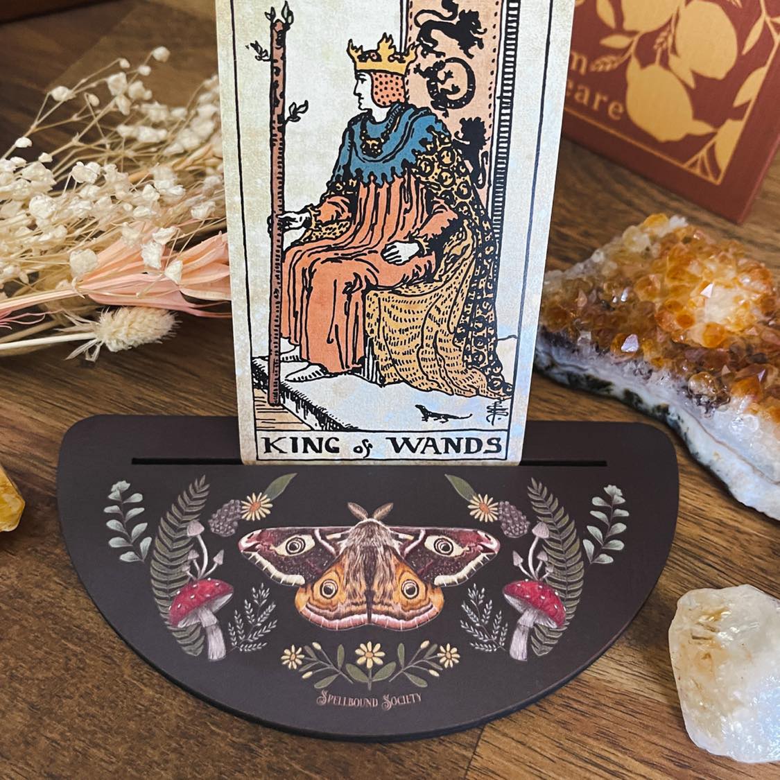 Wooden Moth Tarot Card Holder Oracle Card Holder