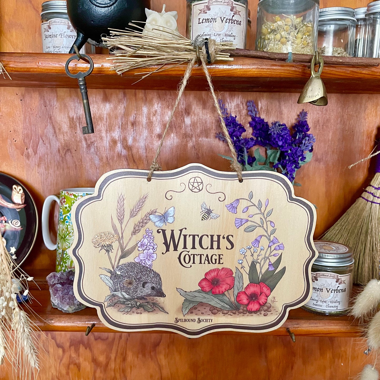 Wall Sign Witch Aesthetic Witch Cottage Hedgehog for the Green Witch