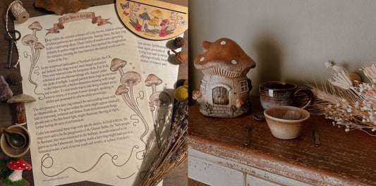 Mushrooms circles magic and the Fae. A blog post about Mushroom Circles, Magic, the Fae, Fairy Circle Mushrooms and Witch Circle Mushrooms.