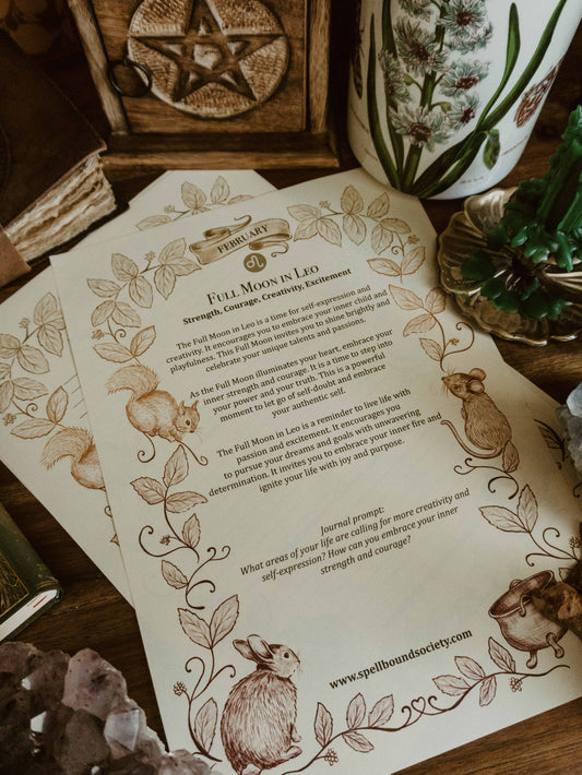 Dancing with the Moon: A Free Downloadable Guide to February 2026 Full and New Moons