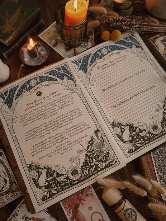 Moon phases for November