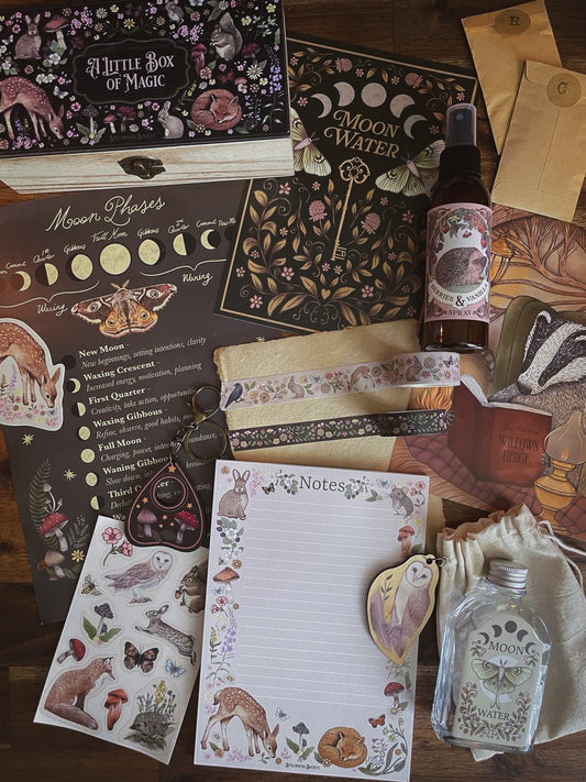 February 2025 Spellbound Society Subscription Mystery Box