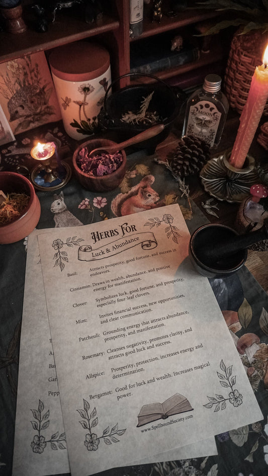 Free Grimoire pages from Spellbound Society Witchcraft Subscription Box