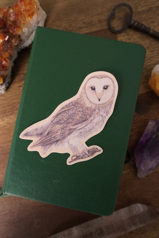 Owl Vinyl Sticker