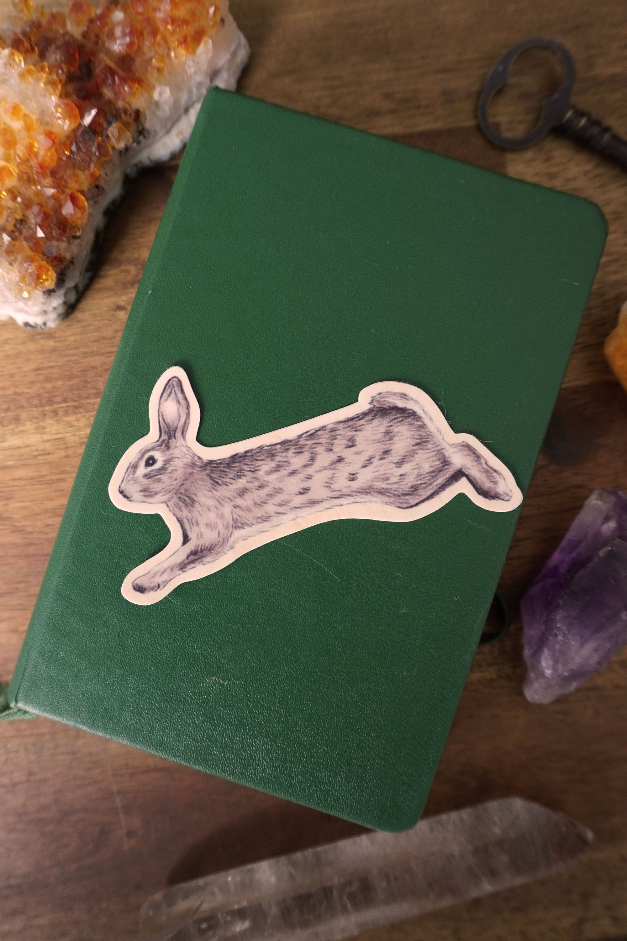 Rabbit Vinyl Sticker – Spellbound Society