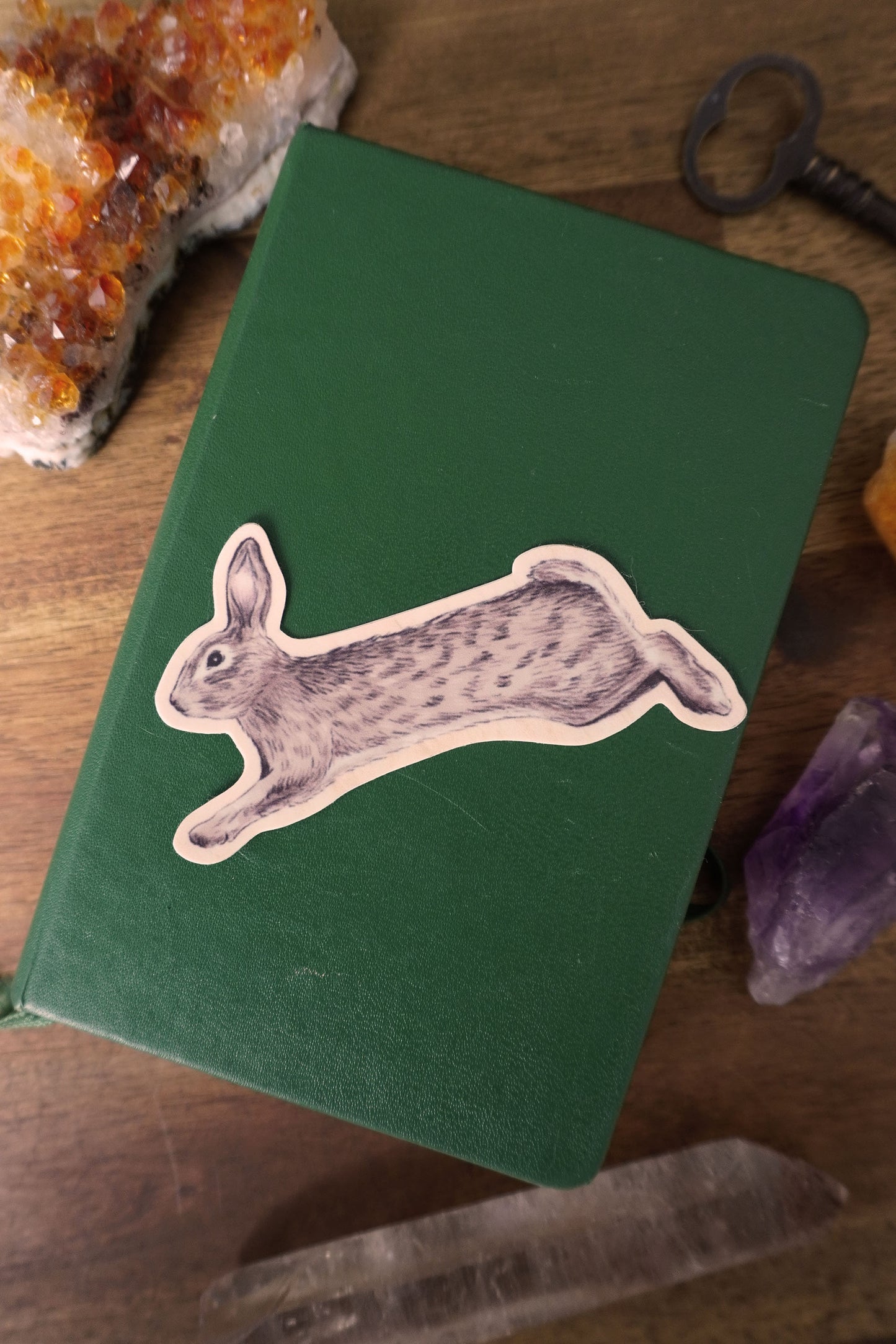 Rabbit Vinyl Sticker