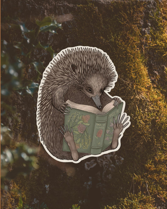 Reading Echidna Magnet