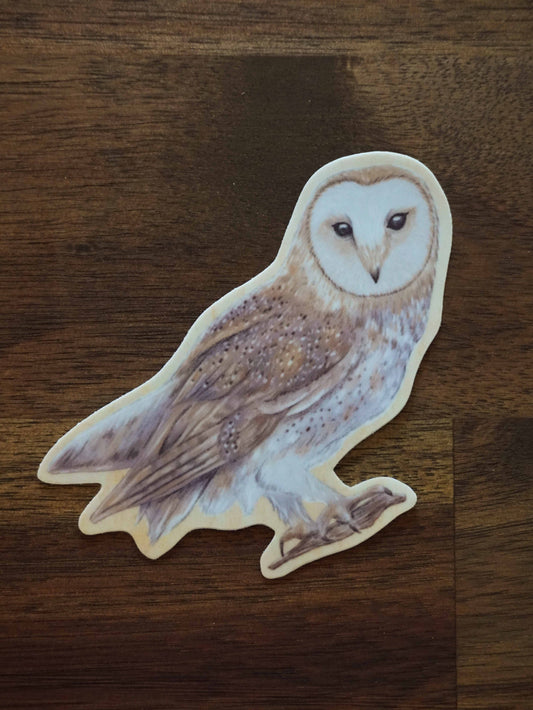 Owl Vinyl Sticker