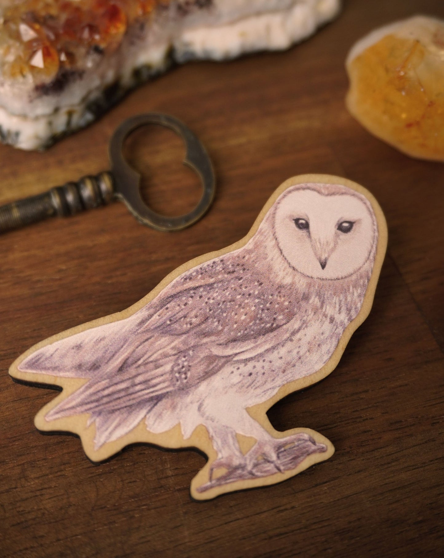 Wooden Owl Magnet