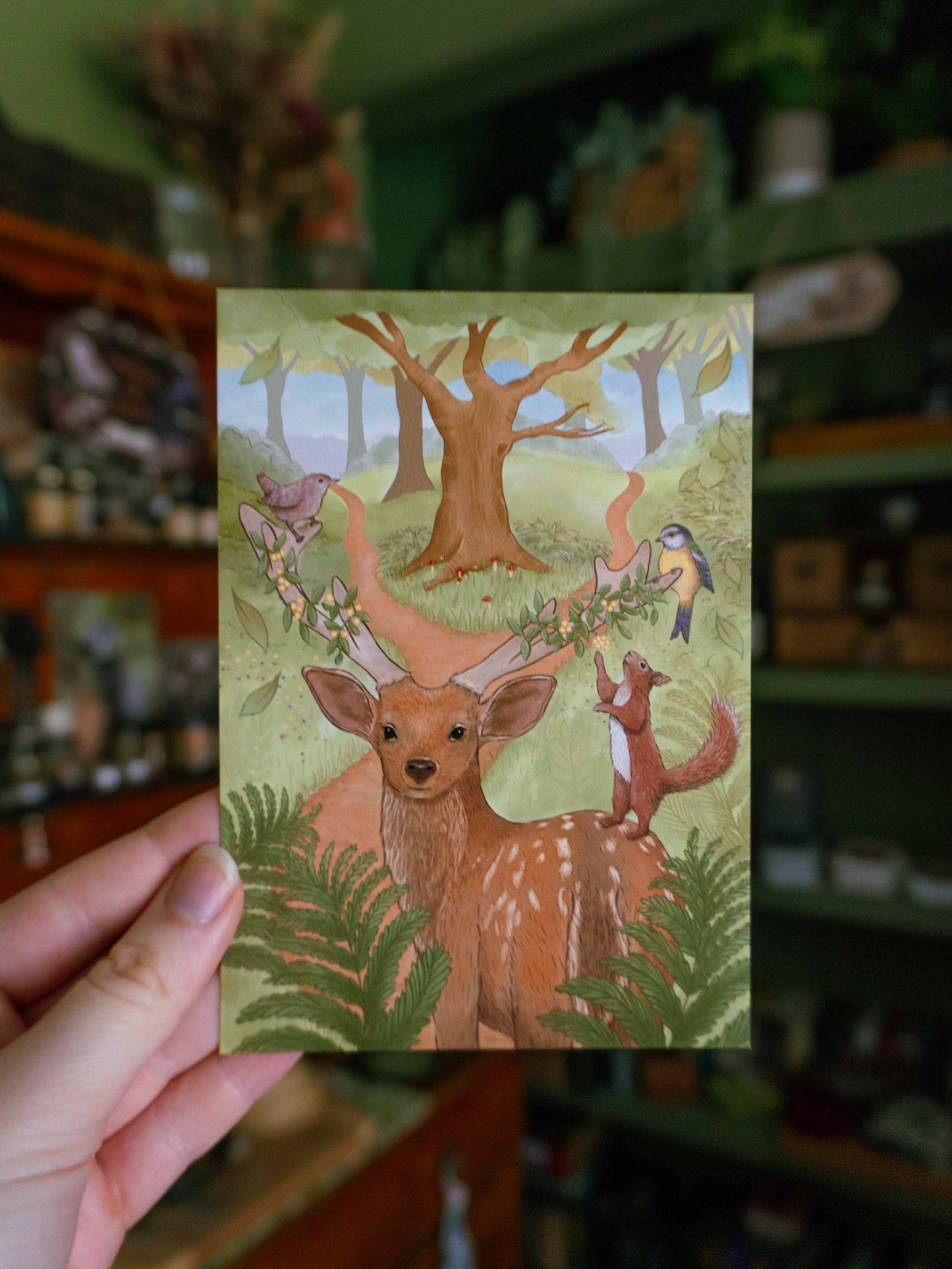 The Woodland Courier Mail No.3 (March Mail 2026) - Australia