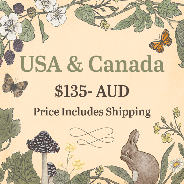 Mystery Box Subscription INCLUDING Shipping (United States & Canad