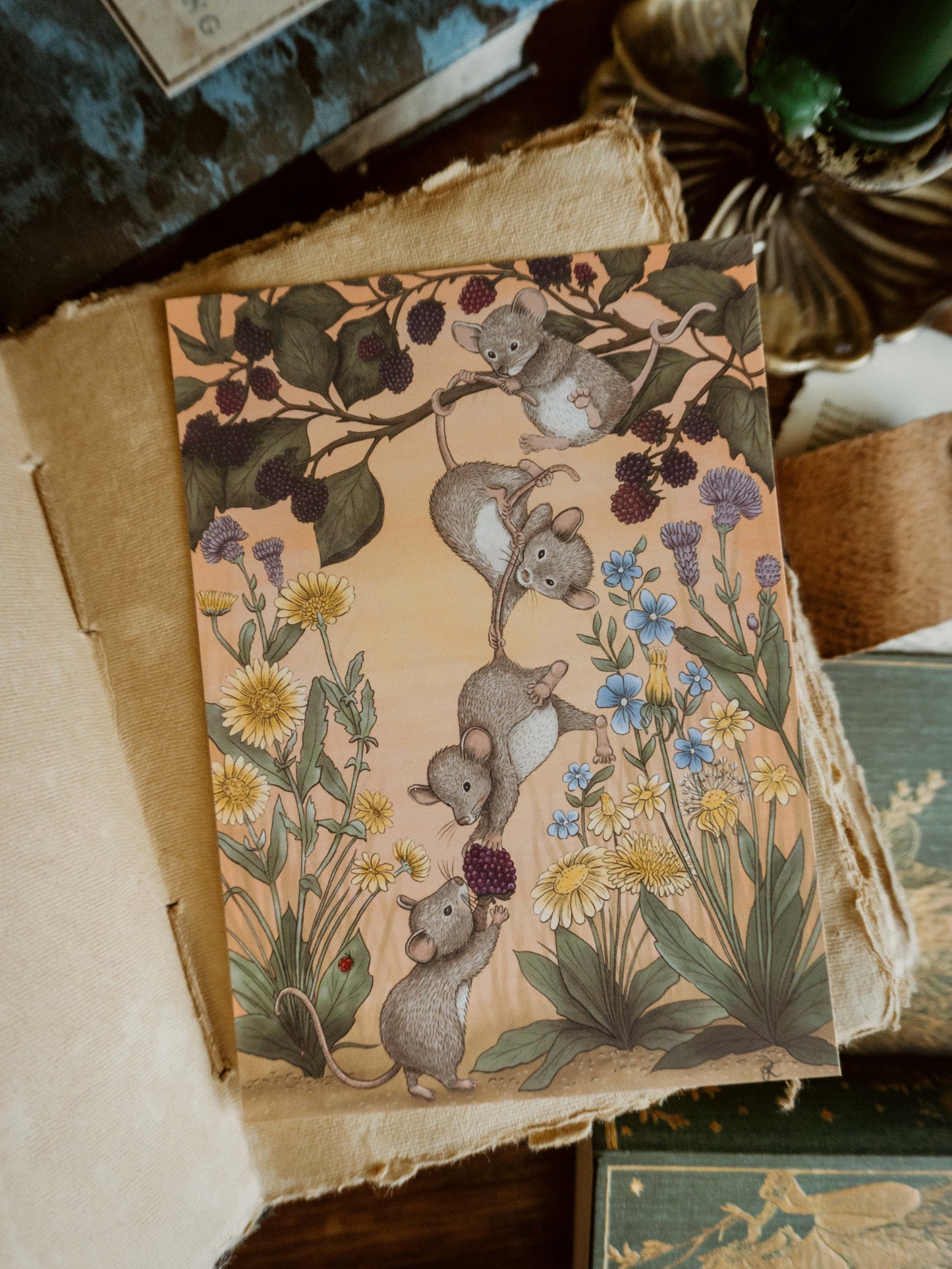 The Woodland Courier Mail No.1 (January Mail 2026)- International