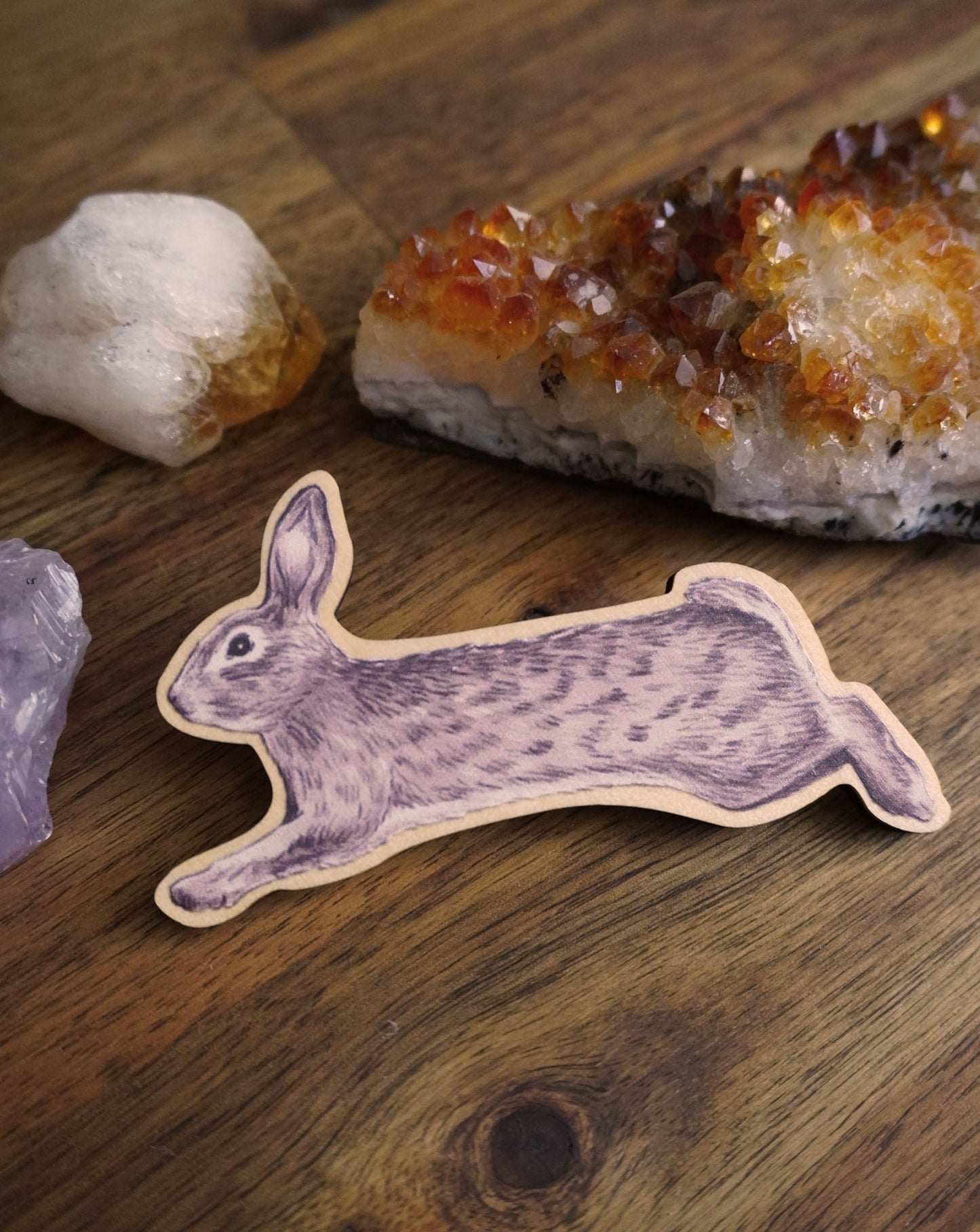 Wooden Rabbit Magnet