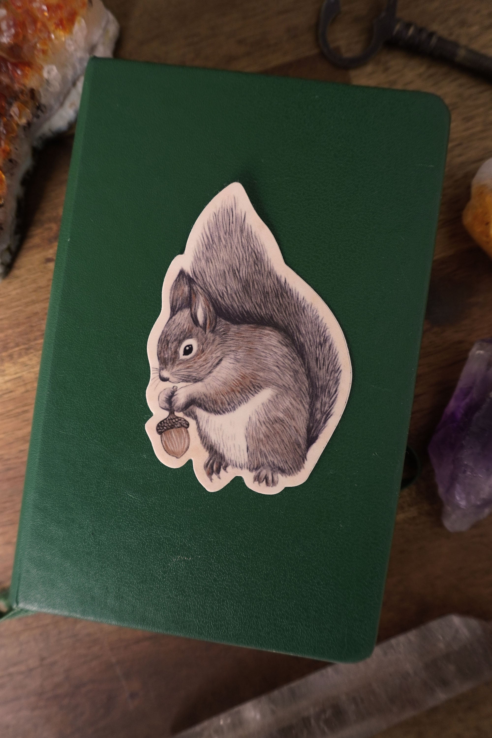 Squirrel Vinyl Sticker – Spellbound Society