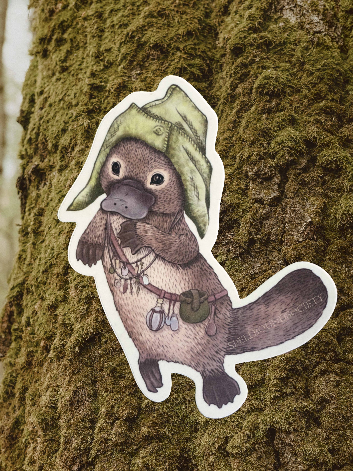 Foraging Platypus Vinyl Sticker