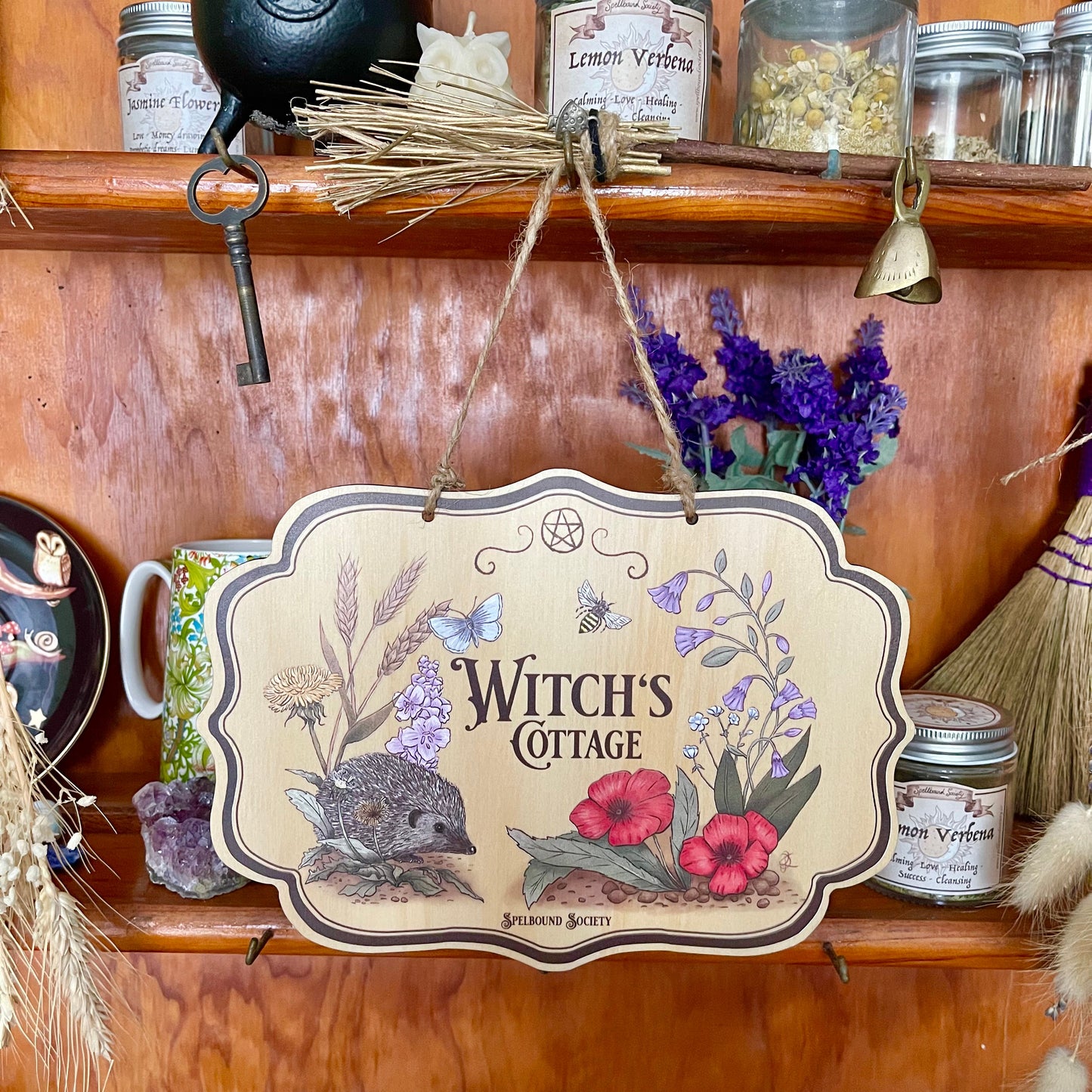 Wall Sign Witch Aesthetic Witch Cottage Hedgehog for the Green Witch