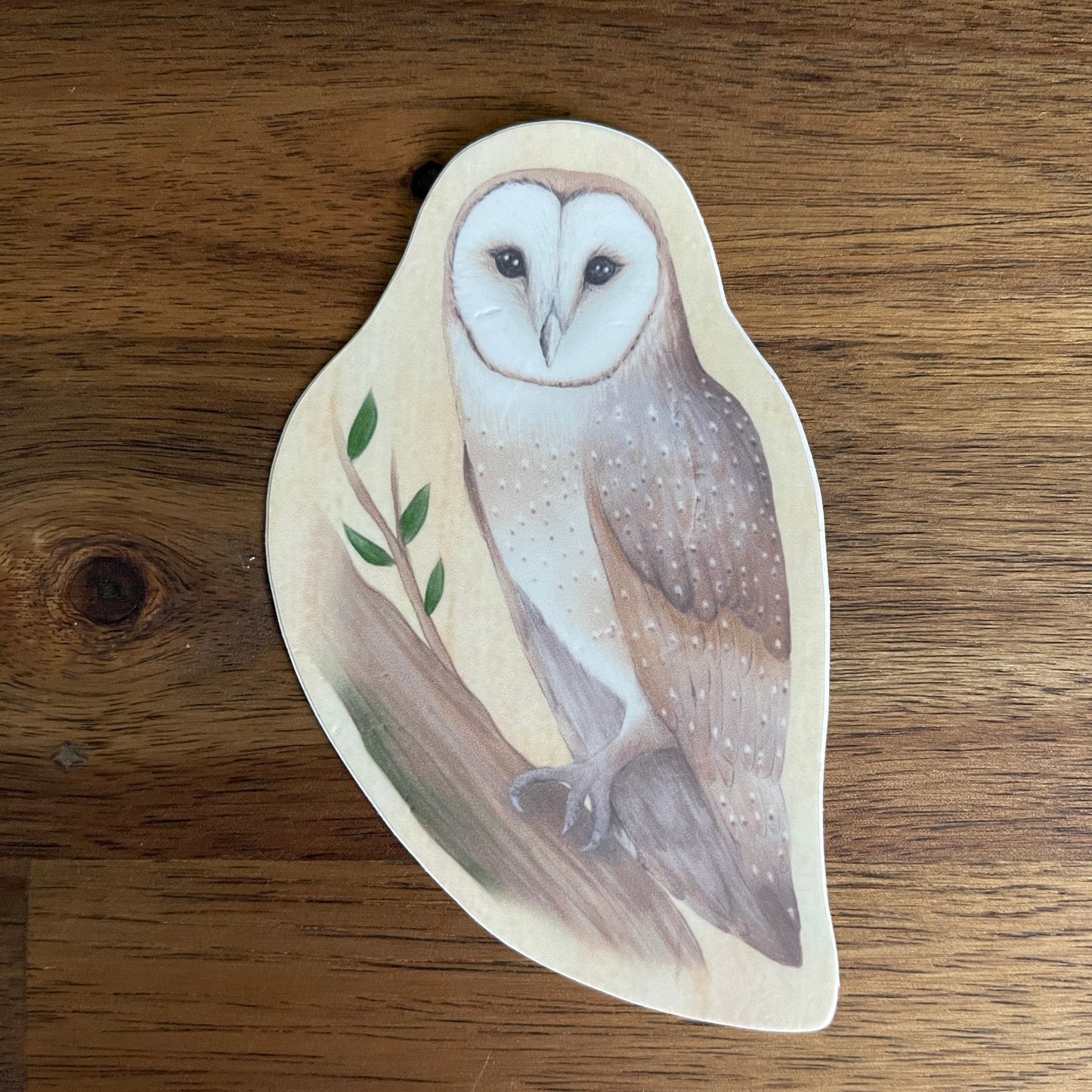 Owl Vinyl Die Cut Sticker