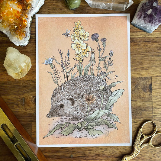 Hedgehog Print