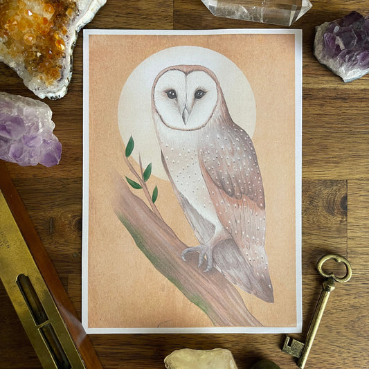 Owl Print